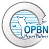 OPBN