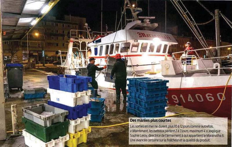 La Normandie met en avant ses poissons « Bon Plan »