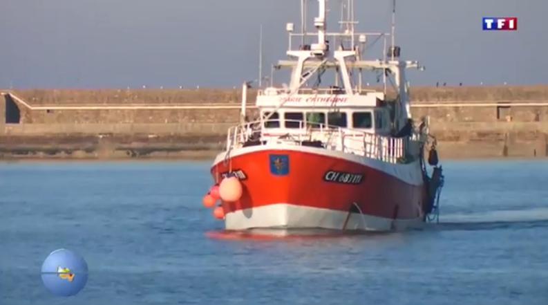 Reportage sur TF1/LCI sur les « espèces oubliés » normandes.