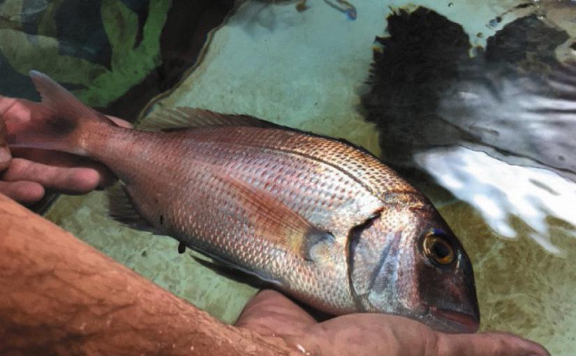 Aquarium de la Cité de la Mer