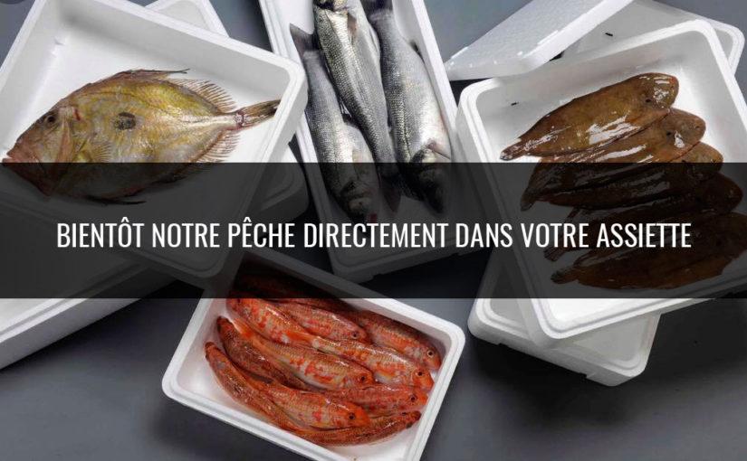 Bientôt notre pêche directement dans votre assiette