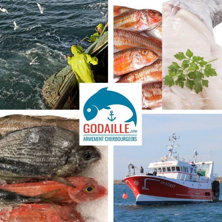 godaille